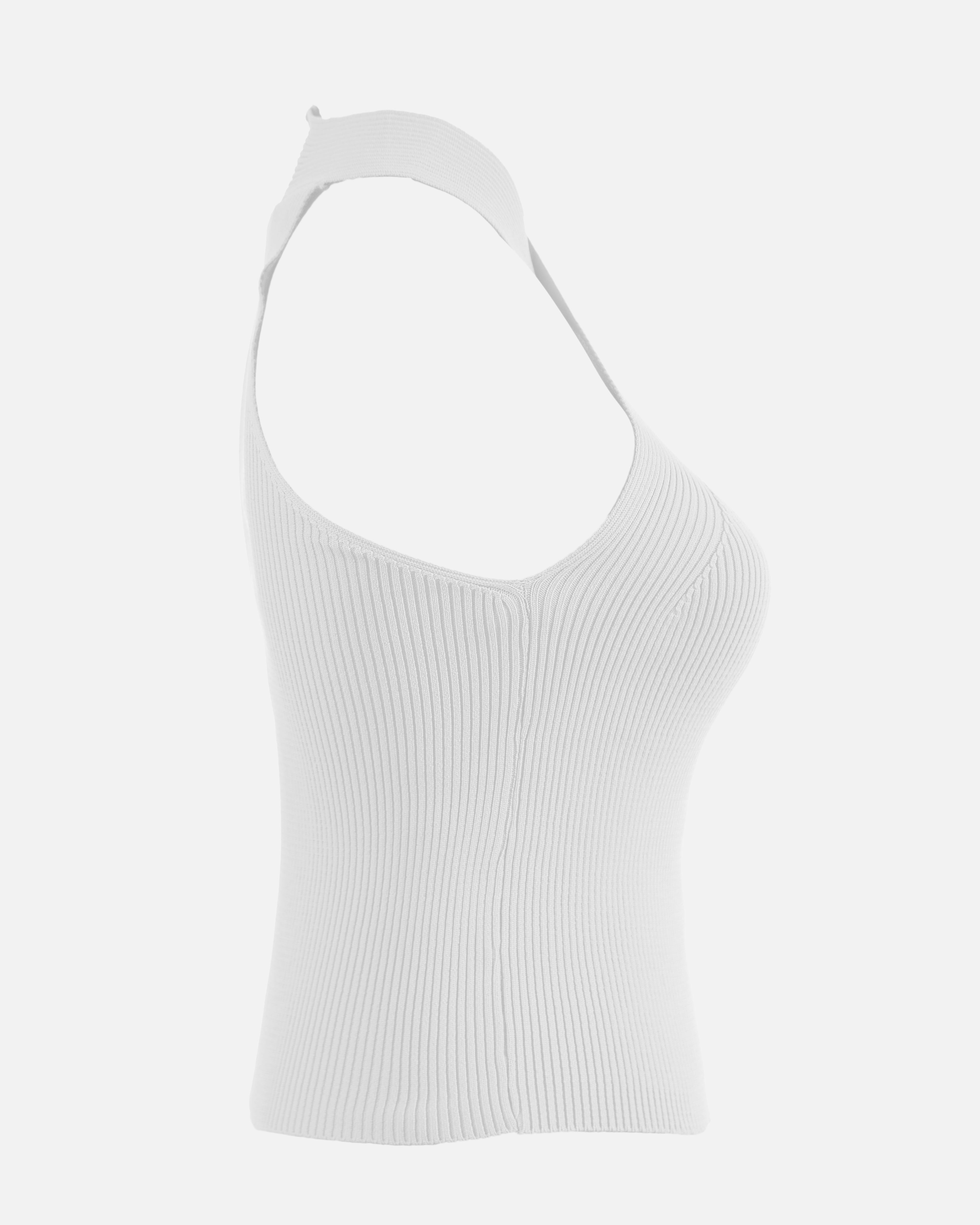 Crisscross Neckline Fitted Top